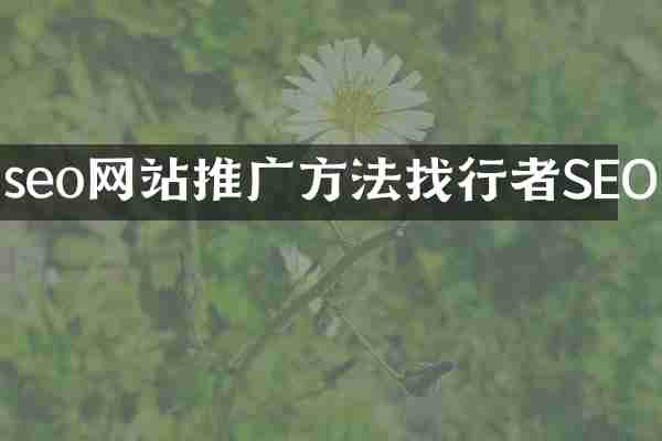 seo网站推广方法找行者SEO