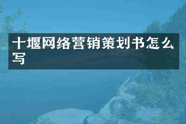 十堰网络营销策划书怎么写