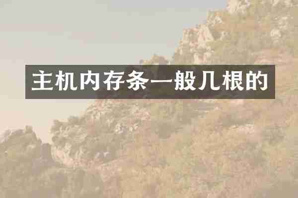 主机内存条一般几根的