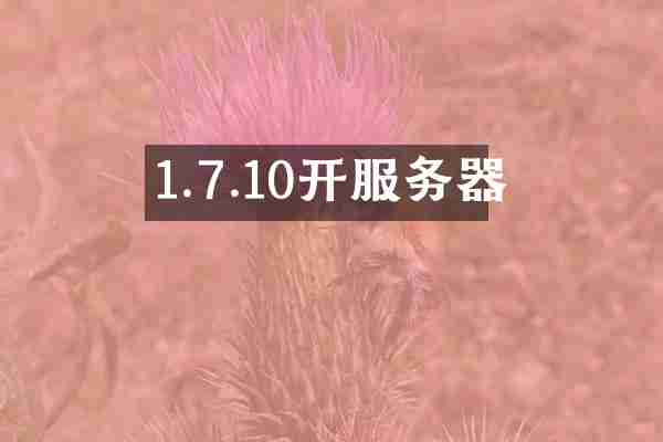1.7.10开服务器