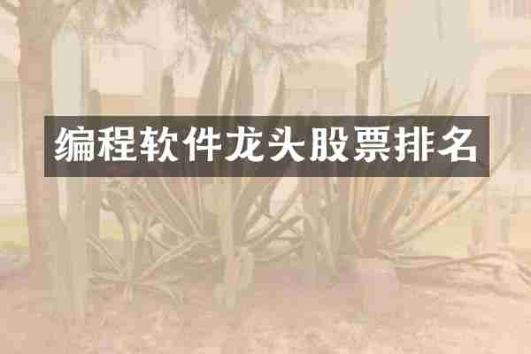 编程软件龙头股票排名