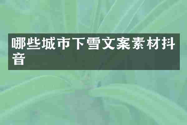 哪些城市下雪文案素材抖音