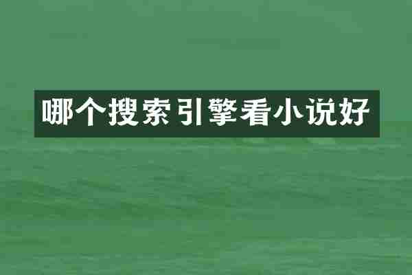 哪个搜索引擎看小说好
