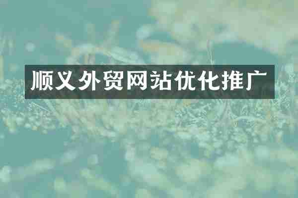 顺义外贸网站优化推广