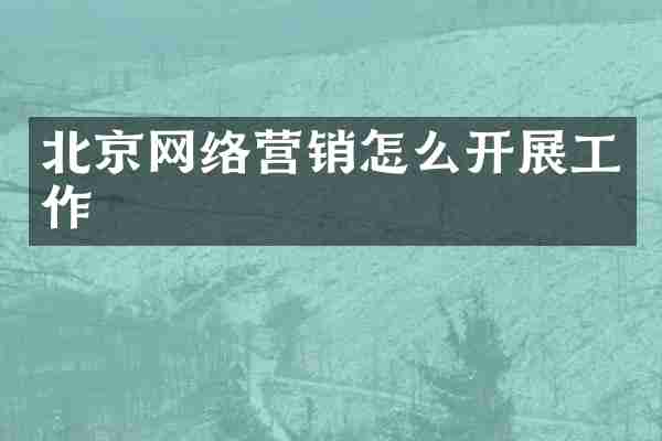 北京网络营销怎么开展工作