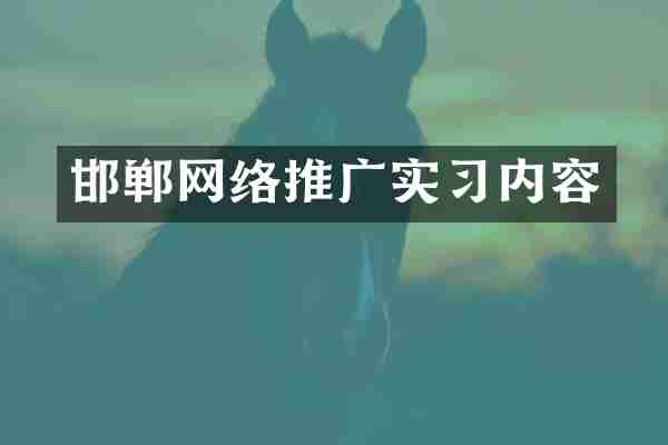 邯郸网络推广实习内容