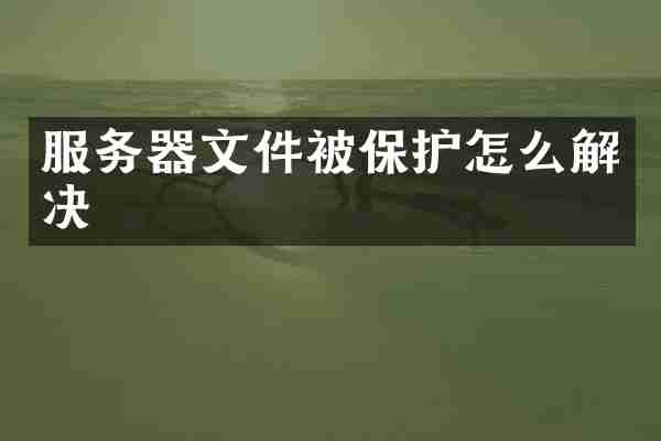 服务器文件被保护怎么解决
