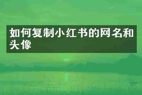 如何复制小红书的网名和头像