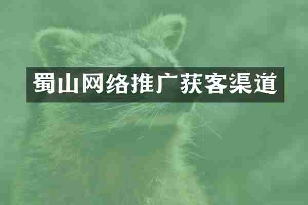蜀山网络推广获客渠道