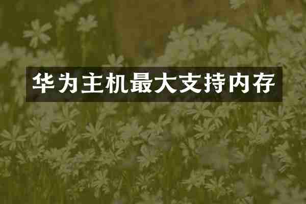 华为主机最大支持内存