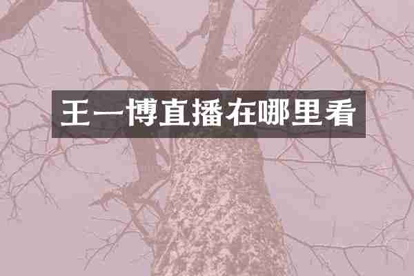王一博直播在哪里看