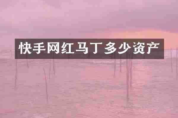 快手网红马丁多少资产