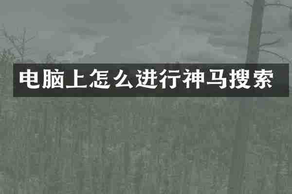 电脑上怎么进行神马搜索