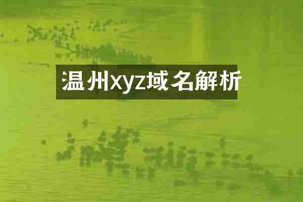 温州xyz域名解析