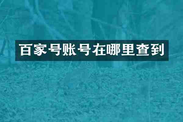 百家号账号在哪里查到