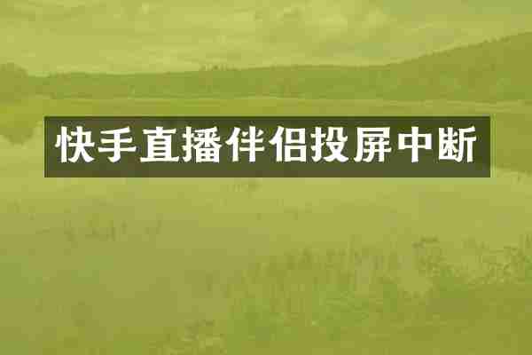 快手直播伴侣投屏中断