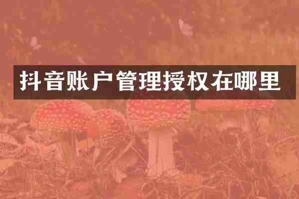 抖音账户管理授权在哪里