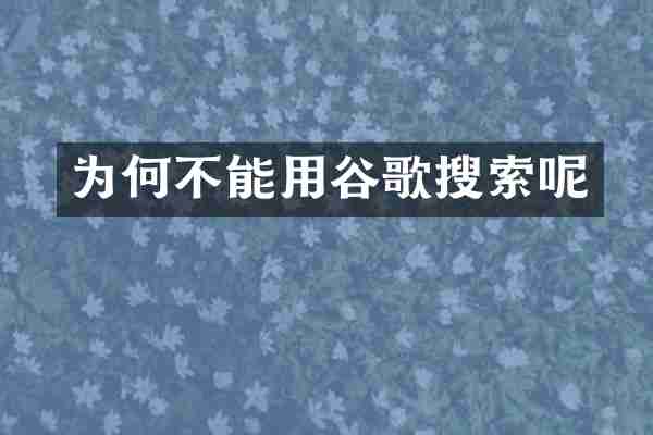 为何不能用谷歌搜索呢