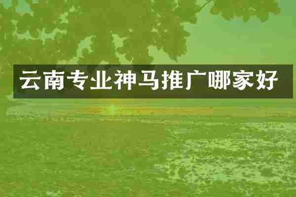 云南专业神马推广哪家好