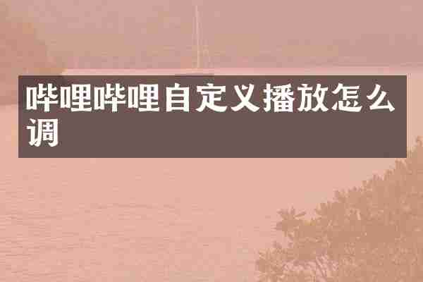 哔哩哔哩自定义播放怎么调