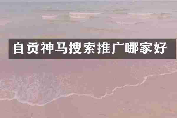 自贡神马搜索推广哪家好