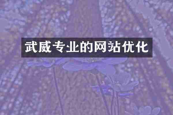 武威专业的网站优化
