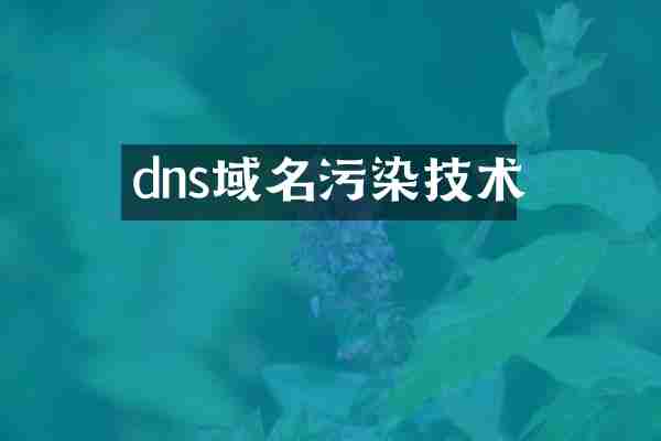 dns域名污染技术