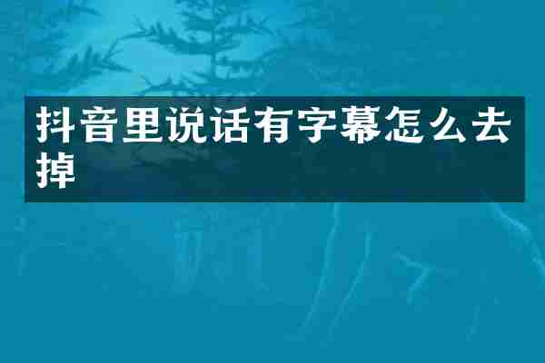 抖音里说话有字幕怎么去掉