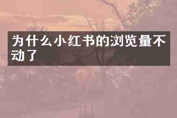 为什么小红书的浏览量不动了