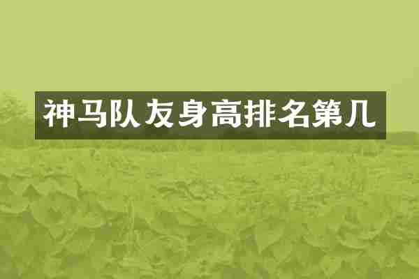 神马队友身高排名第几