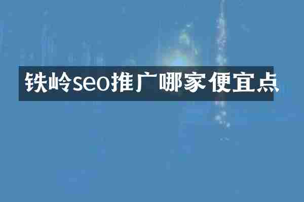 铁岭seo推广哪家便宜点