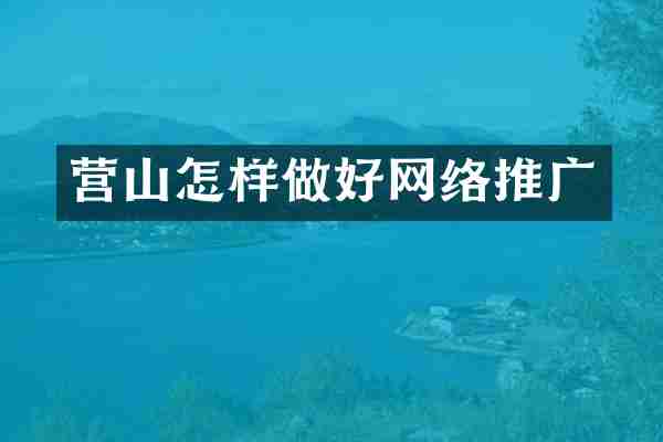 营山怎样做好网络推广