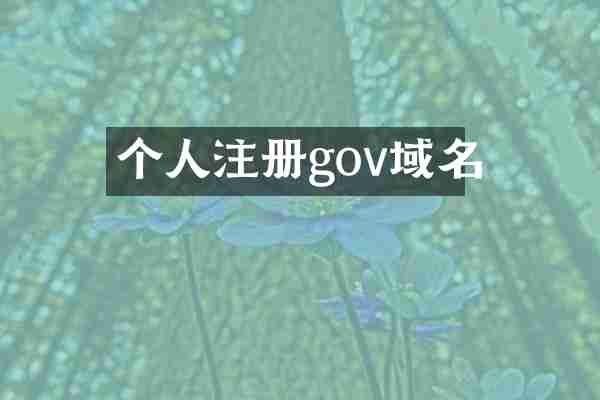 个人注册gov域名