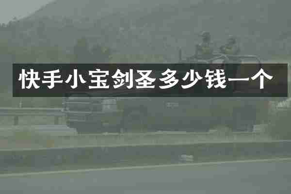 快手小圣多少钱一个