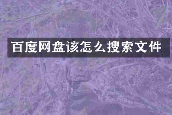 百度网盘该怎么搜索文件