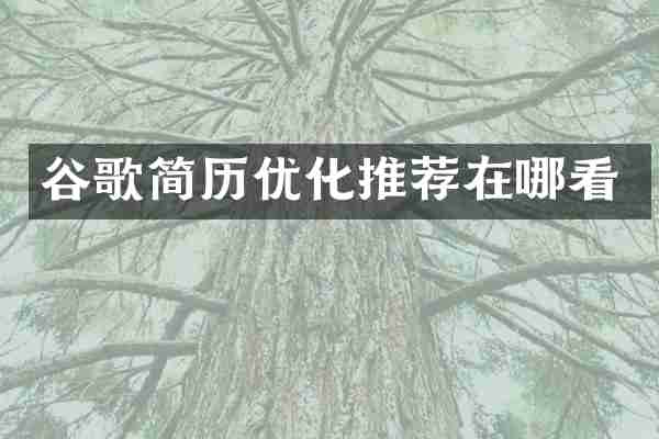 谷歌简历优化推荐在哪看