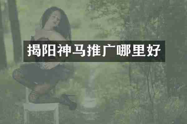 揭阳神马推广哪里好