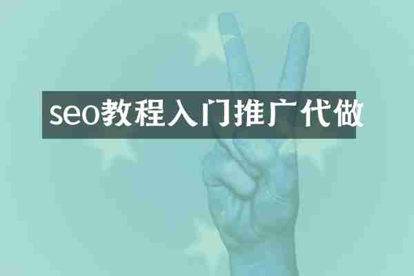 seo教程入门推广代做