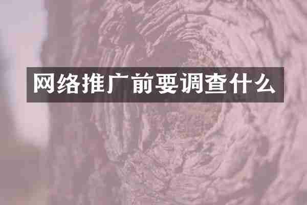 网络推广前要调查什么
