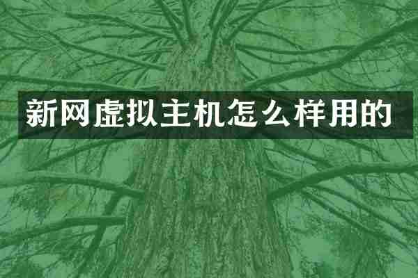 新网虚拟主机怎么样用的