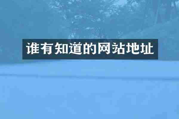 谁有知道的网站地址