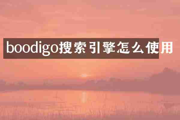 boodigo搜索引擎怎么使用