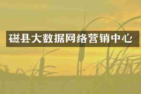 磁县大数据网络营销中心