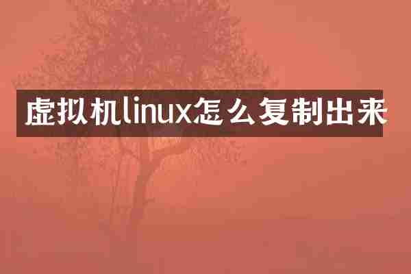 虚拟机linux怎么复制出来