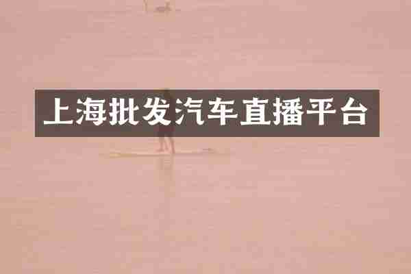 上海批发汽车直播平台