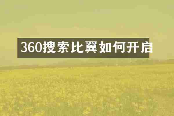 360搜索比翼如何开启