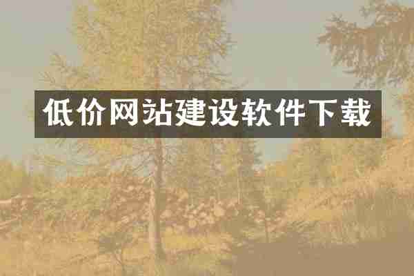 低价网站建设软件下载