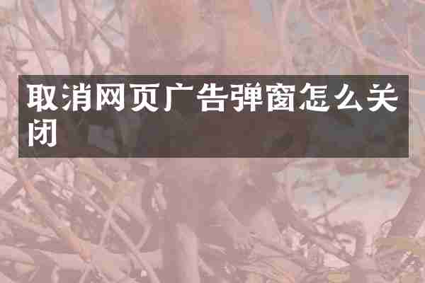 取消网页广告弹窗怎么关闭