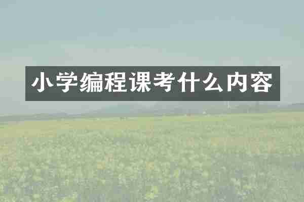 小学编程课考什么内容