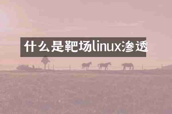 什么是靶场linux渗透